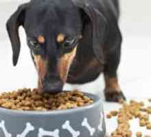 Hrană pentru câini Premium: Evaluare