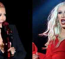Christina Aguilera a schimbat radical imaginea ei