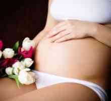 Sânge de la începutul sarcinii
