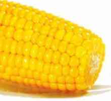 Corn - proprietăți utile