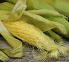 Corn mătase - proprietăți medicinale