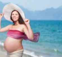 Înot în timpul sarcinii