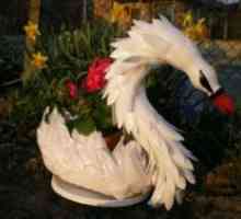 Swans Sticlă de pastikovyh