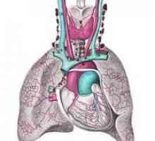 Hipertensiunea pulmonară - Tratamentul