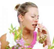 Un tratament pentru alergii la ragweed