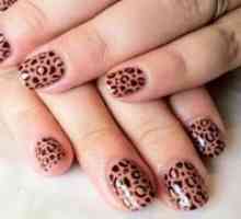 Cuie leopard