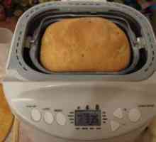 Pâine ceapa în aparat de făcut pâine