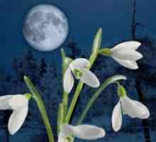 Lunar grădinar calendaristic
