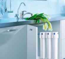 In-line filtre pentru purificarea apei în apartament