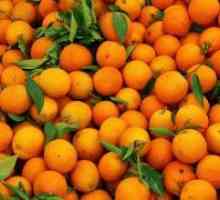 Mandarine - avantaje și prejudicii