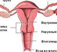 Sângerare uterină cu cheaguri
