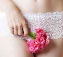 Ciclul Menstruatsionny după naștere