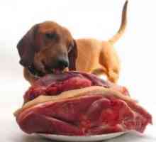 Dog's-carne