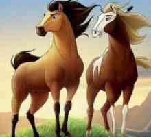 Desene animate despre cai