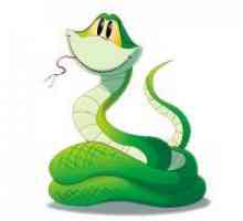Omul-șarpe și o femeie șarpe - Compatibilitate