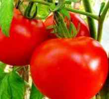 Soiuri de tomate scăzut în creștere pentru sere