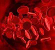 Norma de trombocite din sânge femeilor