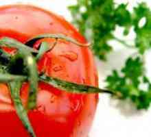 Noi soiuri de tomate de reproducere Siberian