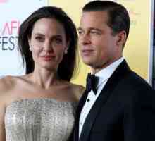 Un alt motiv pentru scandalul din familia lui Brad Pitt și Angelina Jolie