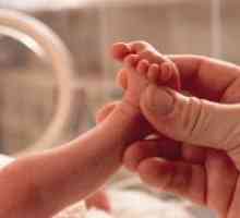 Haine pentru nou-născuți prematuri