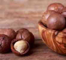 Nuci de macadamia - avantaje și prejudicii