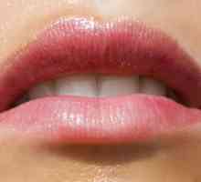 Caracteristici ale aplicării pigmentului buzelor