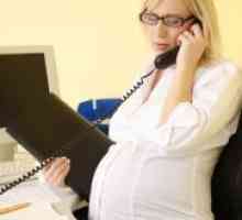 Concediu de maternitate