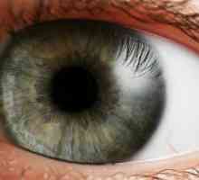 Dezlipirea de retină