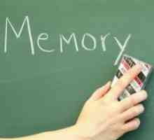 Memoria ca un proces mental