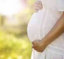 Pancreatin în timpul sarcinii