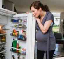 Nutriție în timpul sarcinii