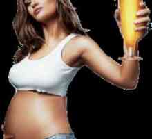 Bere în timpul sarcinii