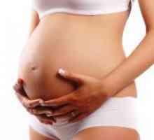 Placentă în timpul sarcinii