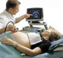Indicatori de ultrasunete 32 săptămâni gravidă