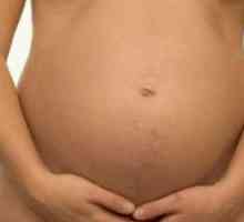Labia în timpul sarcinii