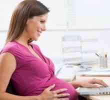 Drepturile femeilor gravide la locul de muncă