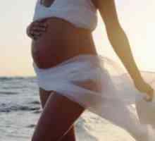 Preeclampsie gravidă