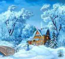 Semne în iarna Nikola 19 decembrie