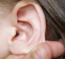 Furculițe în urechi