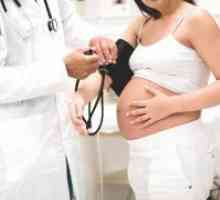 Puls în timpul sarcinii