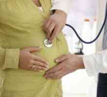 Pulsing stomac în timpul sarcinii