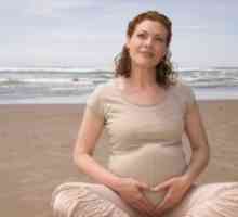Dimensiunile uterului în timpul sarcinii