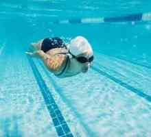 Reflecții asupra dacă este posibil să se piardă în greutate, folosind piscina