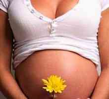 Dezvoltarea copilului în uter