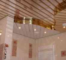 Cremalieră și pinion tavan în baie