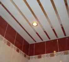 Cremalieră și pinion tavan în baie