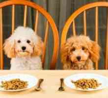 Mâncare pentru câini Rating-