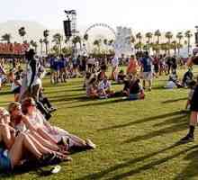 Rihanna, Leonardo DiCaprio, Taylor Swift și mulți alții au participat la festivalul Coachella