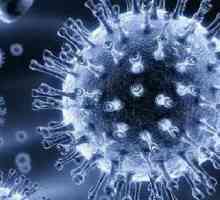 Rotavirusul - perioada de incubație