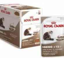 Canin Royal pentru pisici